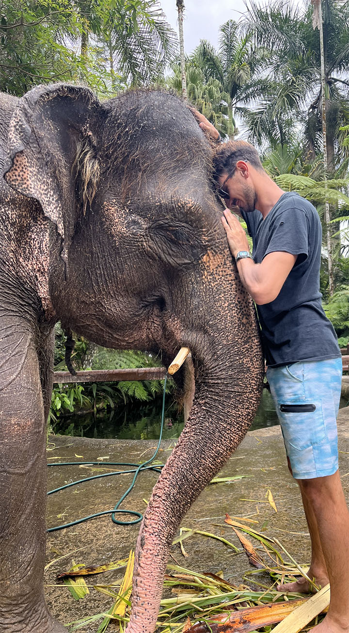 Barry Gregg Bali Elephant Barry Gregg Bali Elephant