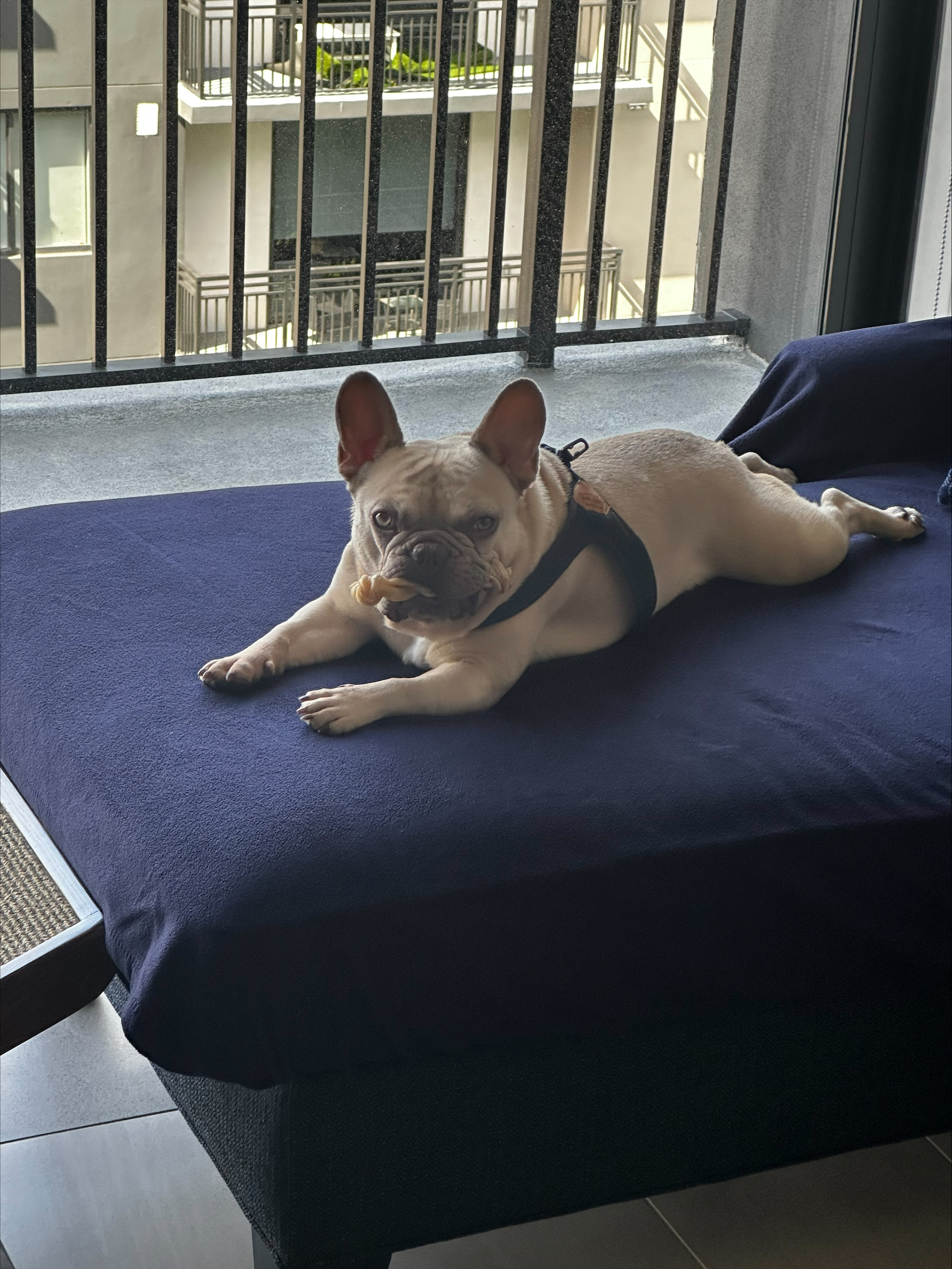 processed-F1DD2BD6-BF32-44FD-A661-440C725A6B95